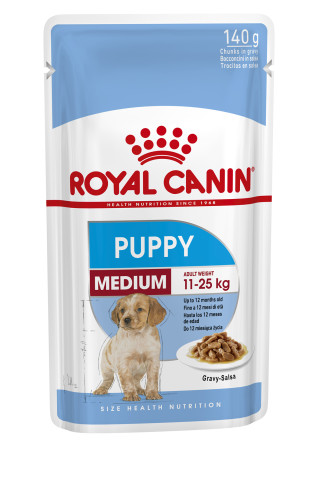 Medium Puppy (in gravy)